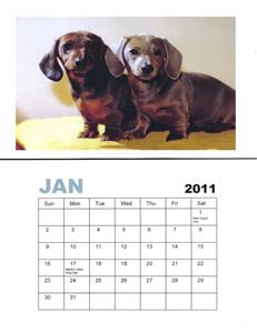 Calendar - 12 Pull Off Months - Single Photo - Dogs