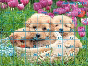 Calendar - 12 Month - A Puppies- 12 Photos (horizontal)