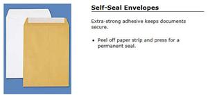 500 Envelopes 6 x 9 - Self Seal
