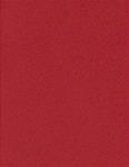 Copy legal size ruby red paper - 8 1/2" x 14" - 20 lb.
